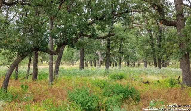 1080 S Eagle Street Fredericksburg, TX 78624