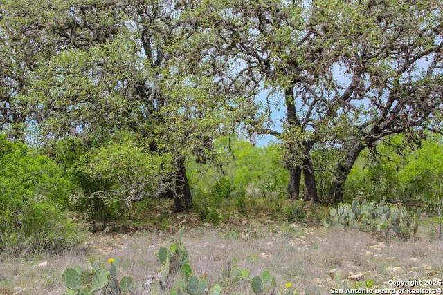 TBD CR 341 Hondo, TX 78861
