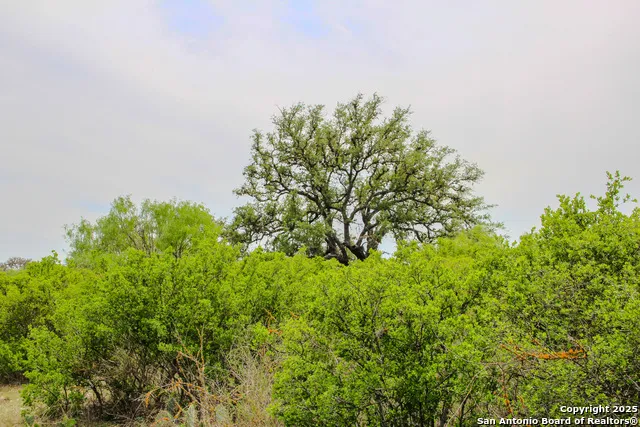 TBD CR 341 Hondo, TX 78861