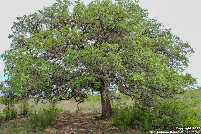 TBD CR 341 Hondo, TX 78861