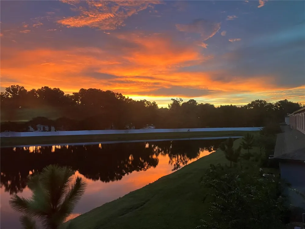 6199 SHINER STREET Land O Lakes, FL 34638