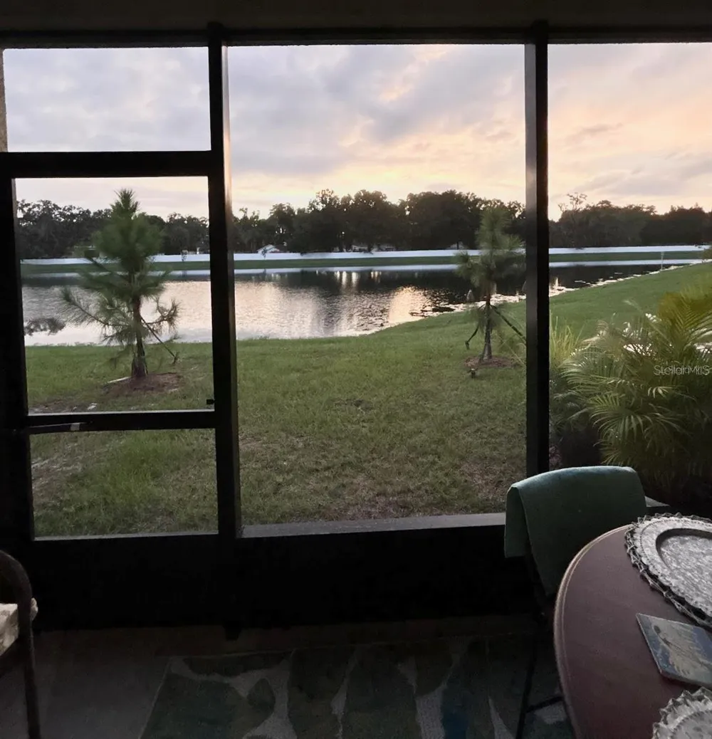 6199 SHINER STREET Land O Lakes, FL 34638