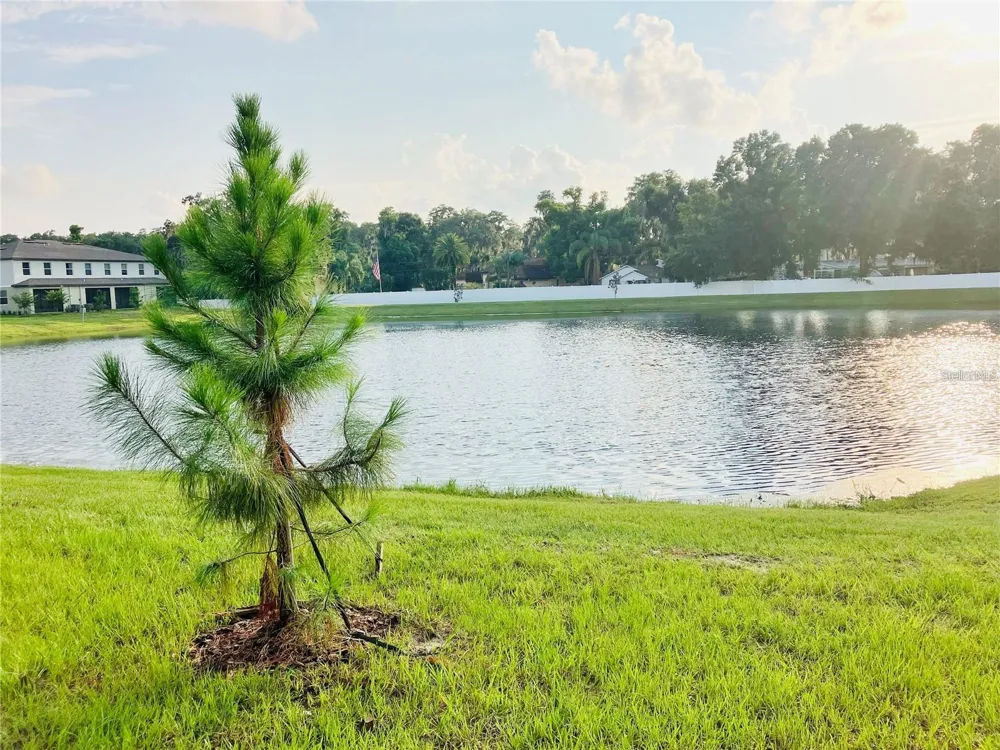 6199 SHINER STREET Land O Lakes, FL 34638