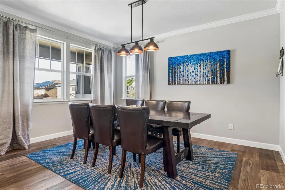 5894 Berry Ridge Way Castle Rock, CO 80104