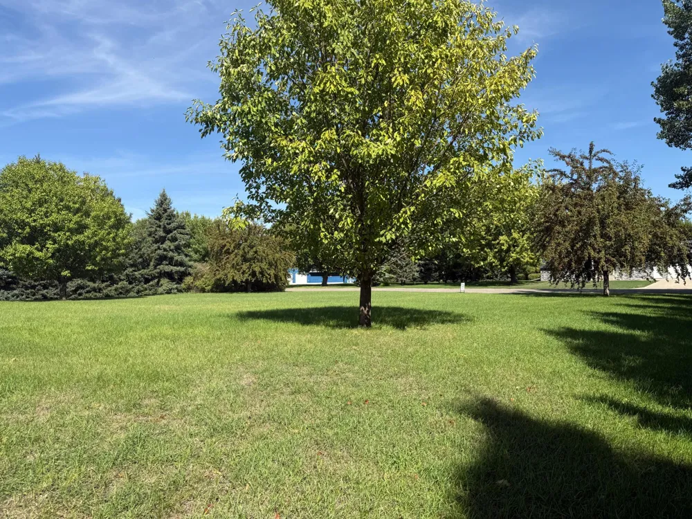 606 4th Street W Ada, MN 56510