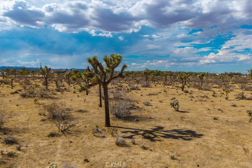 6 Sunway Drive Yucca Valley, CA 92284