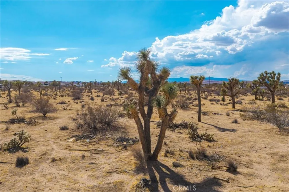 6 Sunway Drive Yucca Valley, CA 92284