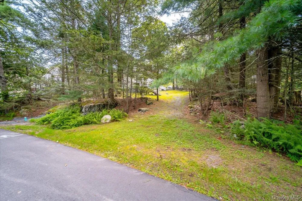 142 Emerald Drive Rock Hill, NY 12775