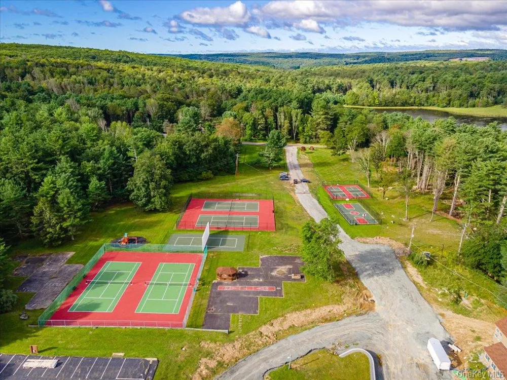 142 Emerald Drive Rock Hill, NY 12775