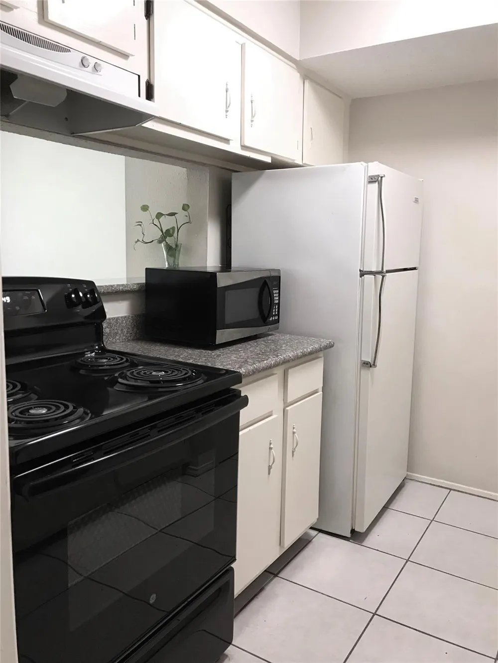 6410 Del Monte Drive #102 Houston, TX 77057