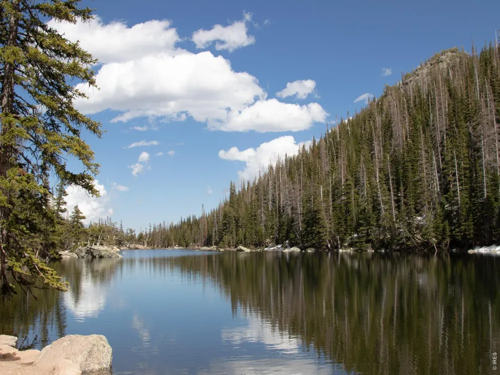 446 Stanley Avenue Estes Park, CO 80517