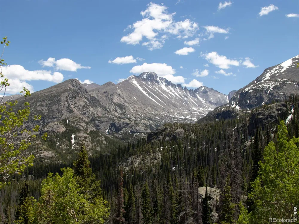 446 Stanley Avenue Estes Park, CO 80517
