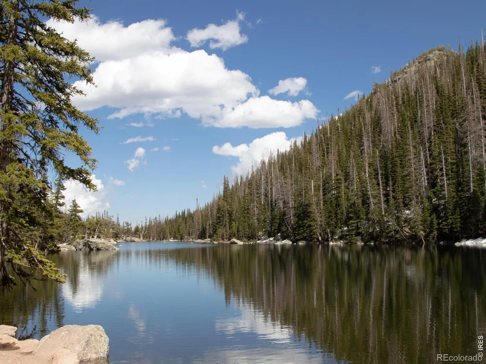 446 Stanley Avenue Estes Park, CO 80517
