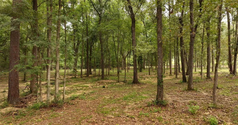 12825 Hill Creek Rd Montgomery, TX 77356