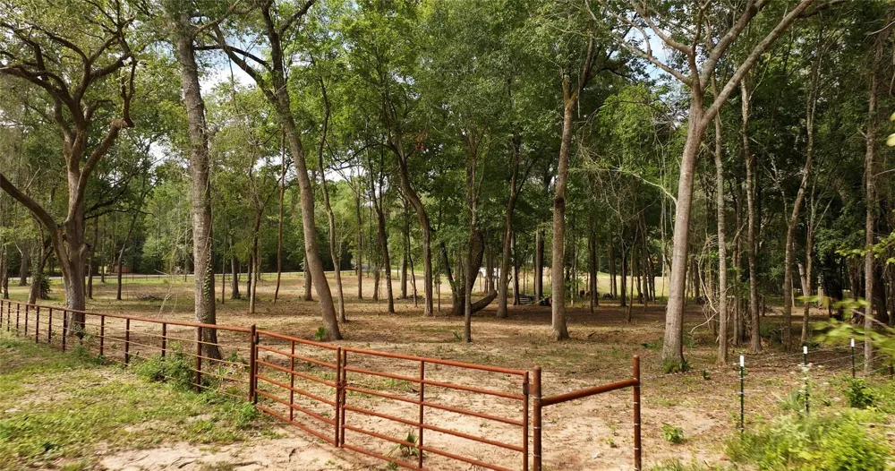 12825 Hill Creek Rd Montgomery, TX 77356