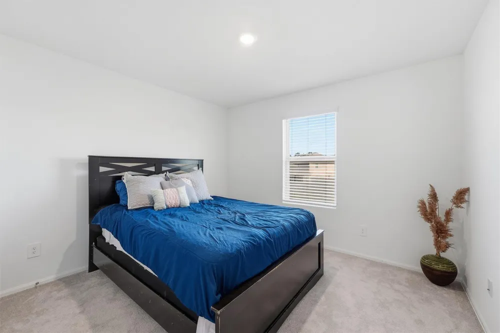 22381 Curly Maple Drive New Caney, TX 77357