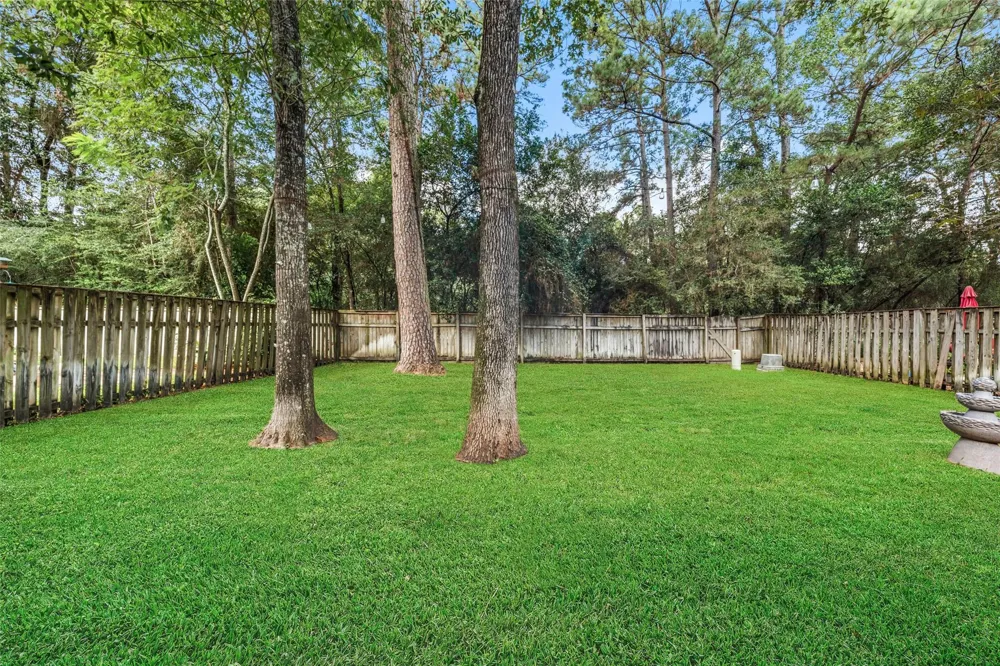 19 Lyreleaf Place The Woodlands, TX 77382