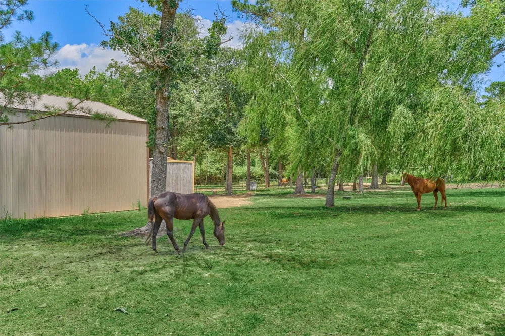 420 Ruel Road Magnolia, TX 77355