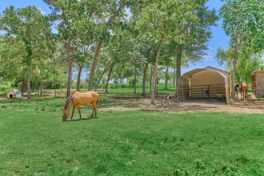 420 Ruel Road Magnolia, TX 77355