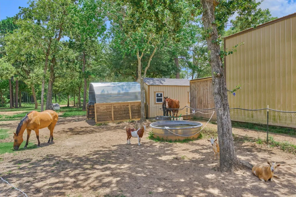 420 Ruel Road Magnolia, TX 77355