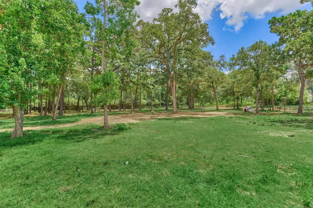 420 Ruel Road Magnolia, TX 77355