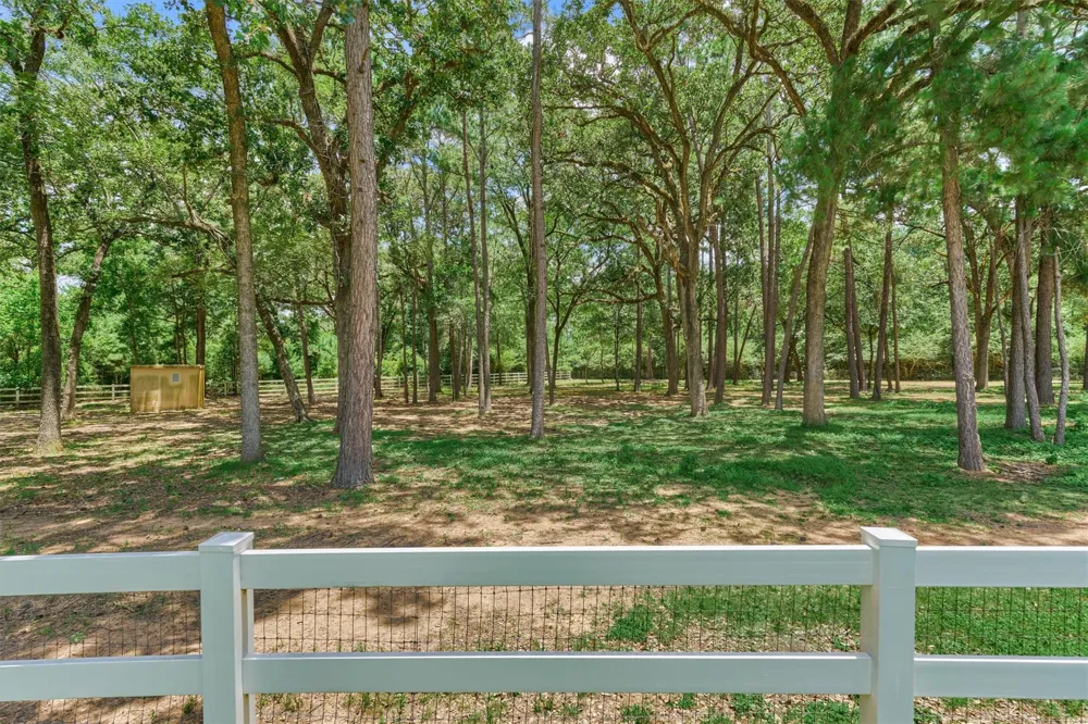 420 Ruel Road Magnolia, TX 77355