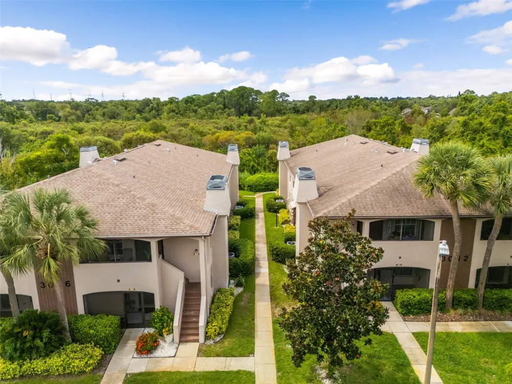 3016 BONAVENTURE CIRCLE #104 Palm Harbor, FL 34684