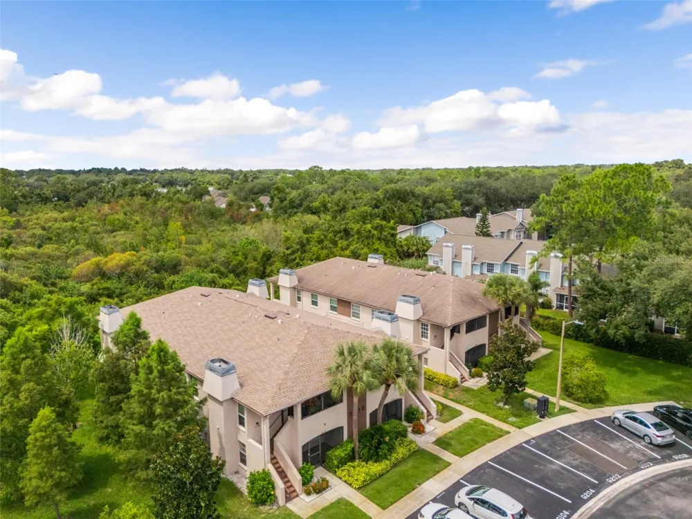 3016 BONAVENTURE CIRCLE #104 Palm Harbor, FL 34684