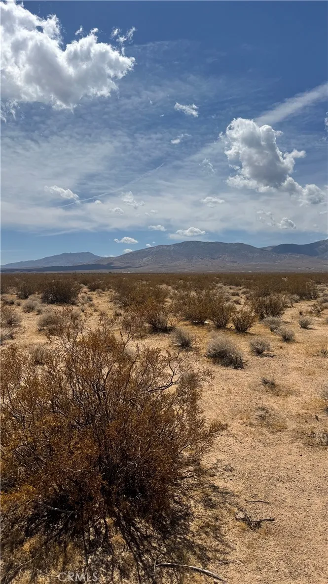 Sutter Rd Lucerne Valley, CA 92356
