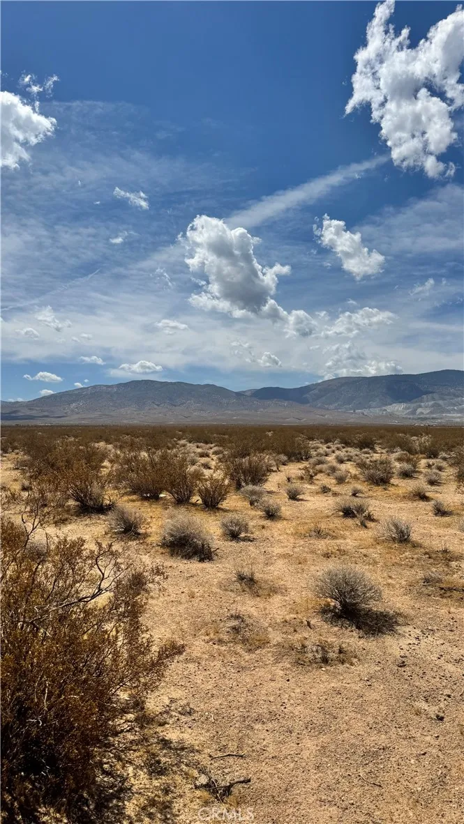 Sutter Rd Lucerne Valley, CA 92356
