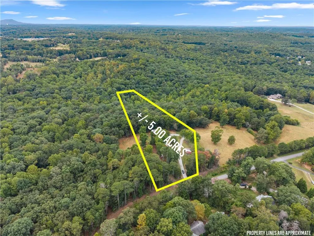 780 Blacks Mill Road Dawsonville, GA 30534