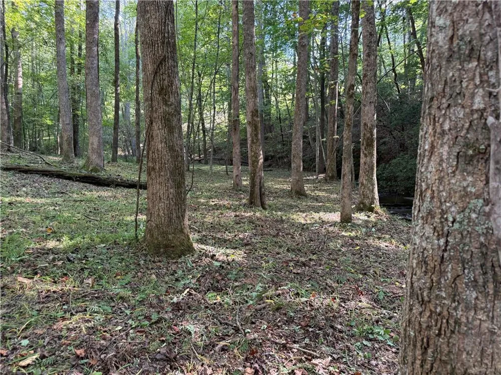 149 Hidden Creek Road Jasper, GA 30143