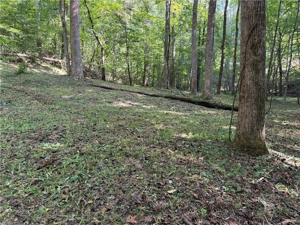 149 Hidden Creek Road Jasper, GA 30143
