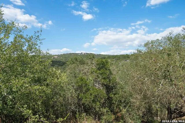 410 County Road 2748 Mico, TX 78056