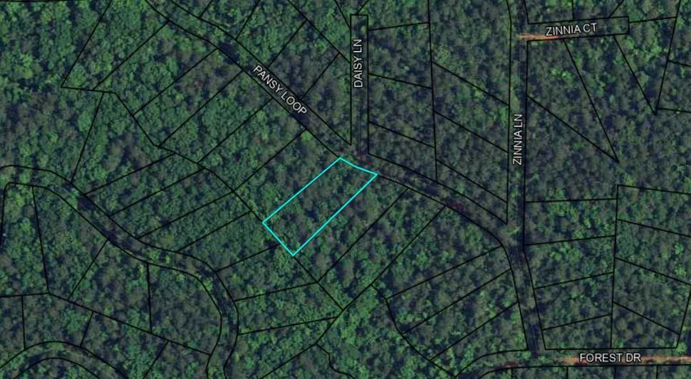 BLK 79 LOT 07 Pansy Loop Waverly Hall, GA 31831