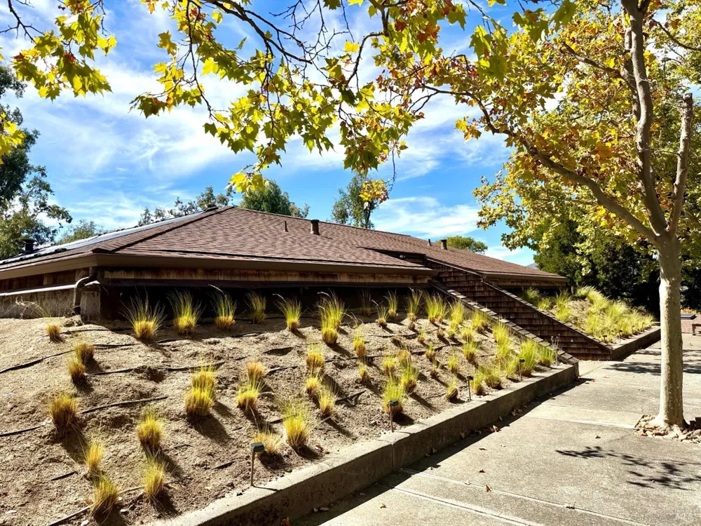 221 El Faisan Drive San Rafael, CA 94903