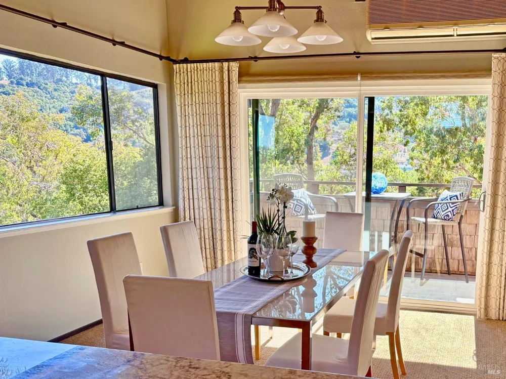 221 El Faisan Drive San Rafael, CA 94903