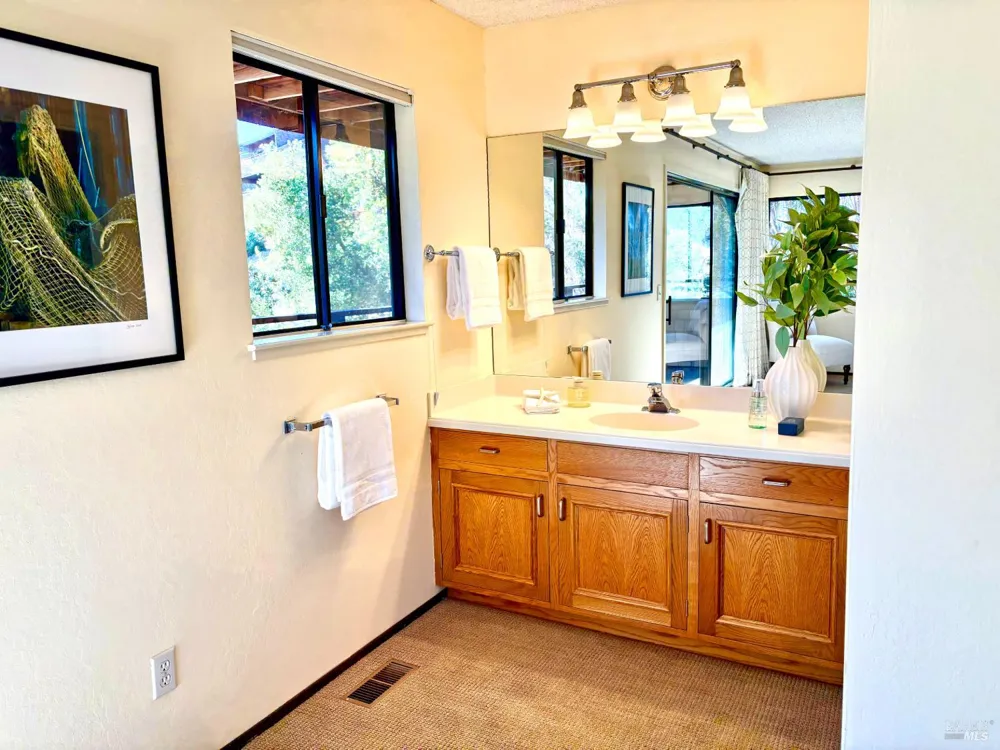 221 El Faisan Drive San Rafael, CA 94903