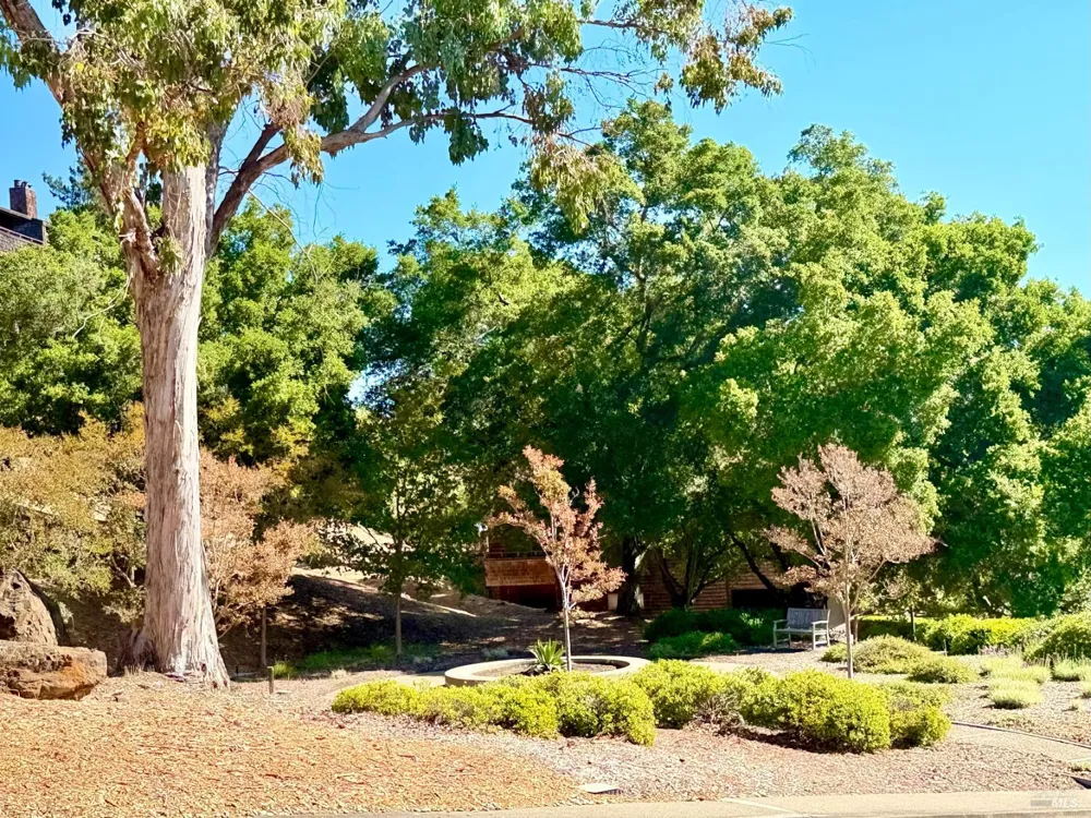 221 El Faisan Drive San Rafael, CA 94903