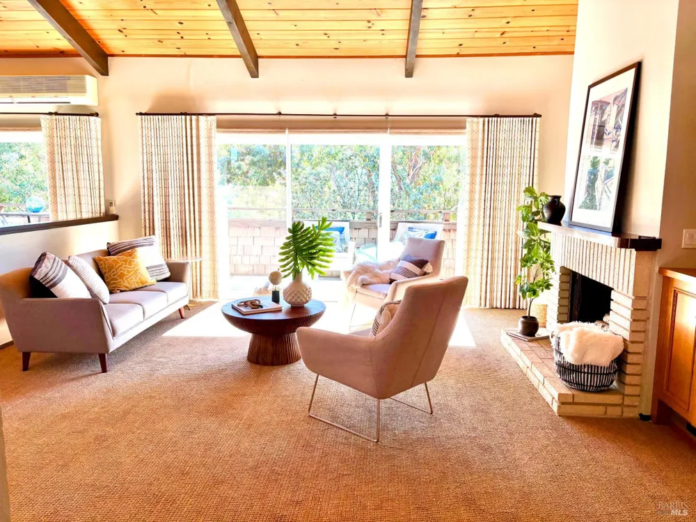 221 El Faisan Drive San Rafael, CA 94903