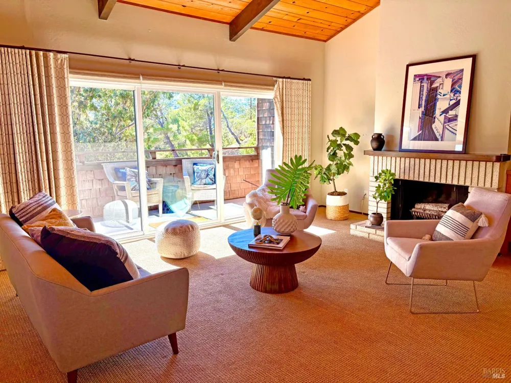 221 El Faisan Drive San Rafael, CA 94903