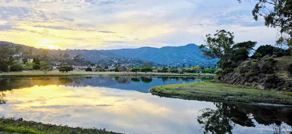 6011 Shelter Bay Avenue Mill Valley, CA 94941