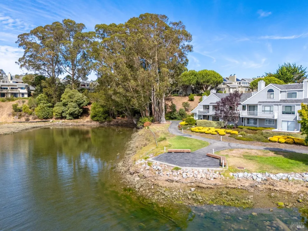 6011 Shelter Bay Avenue Mill Valley, CA 94941