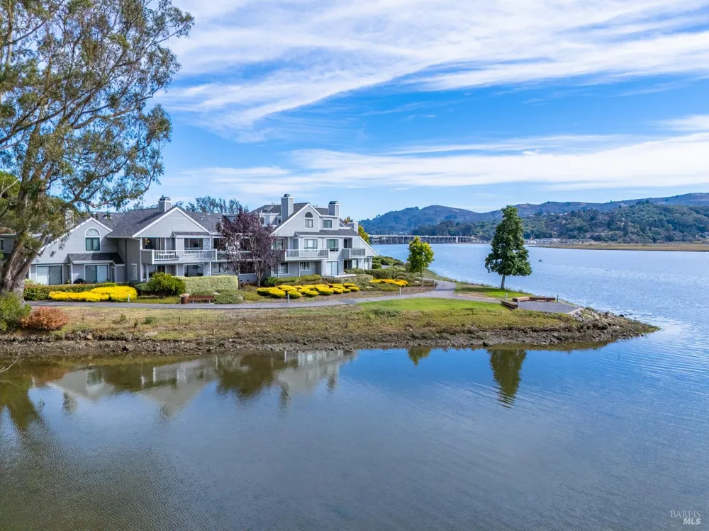 6011 Shelter Bay Avenue Mill Valley, CA 94941