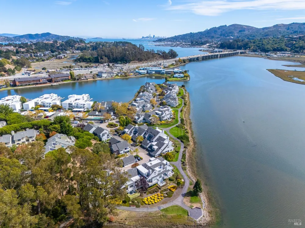 6011 Shelter Bay Avenue Mill Valley, CA 94941
