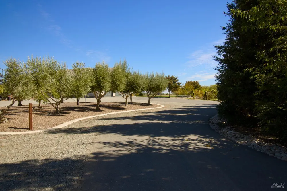 8320 Shadi Lane Winters, CA 95694