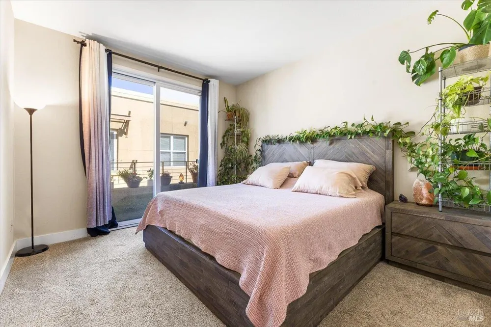310 City Center Drive Rohnert Park, CA 94928