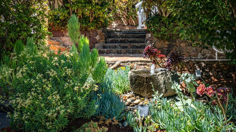 2 Lower Crescent Avenue Sausalito, CA 94965