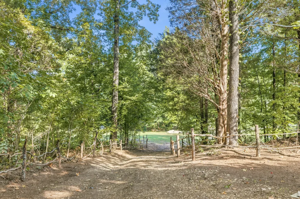 241 Peterson Loop Holladay, TN 38341