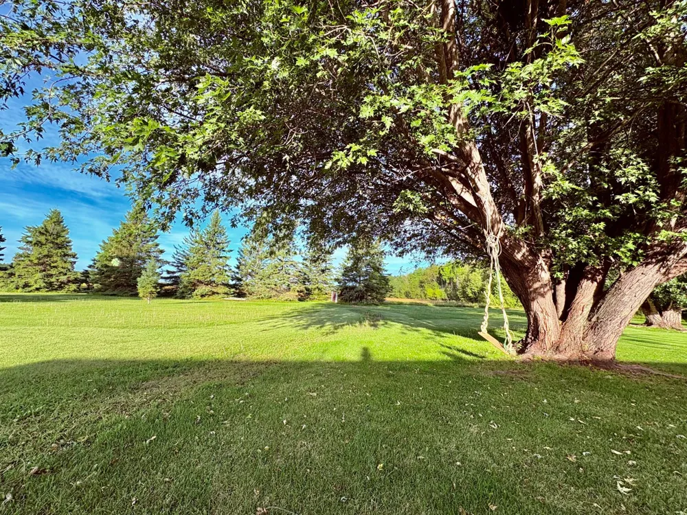 2891 State Highway 172 NW Baudette, MN 56623